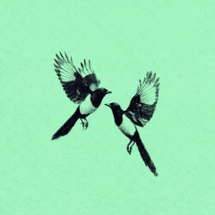 Phortran x Korey Wade - Aerial