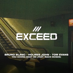 Bruno Blanc, Holmes John & Tom Evans - You Gonna Want Me (ft. Sean Declase)