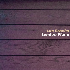 London Plane
