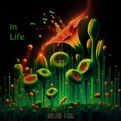 In Life - Seed Mix