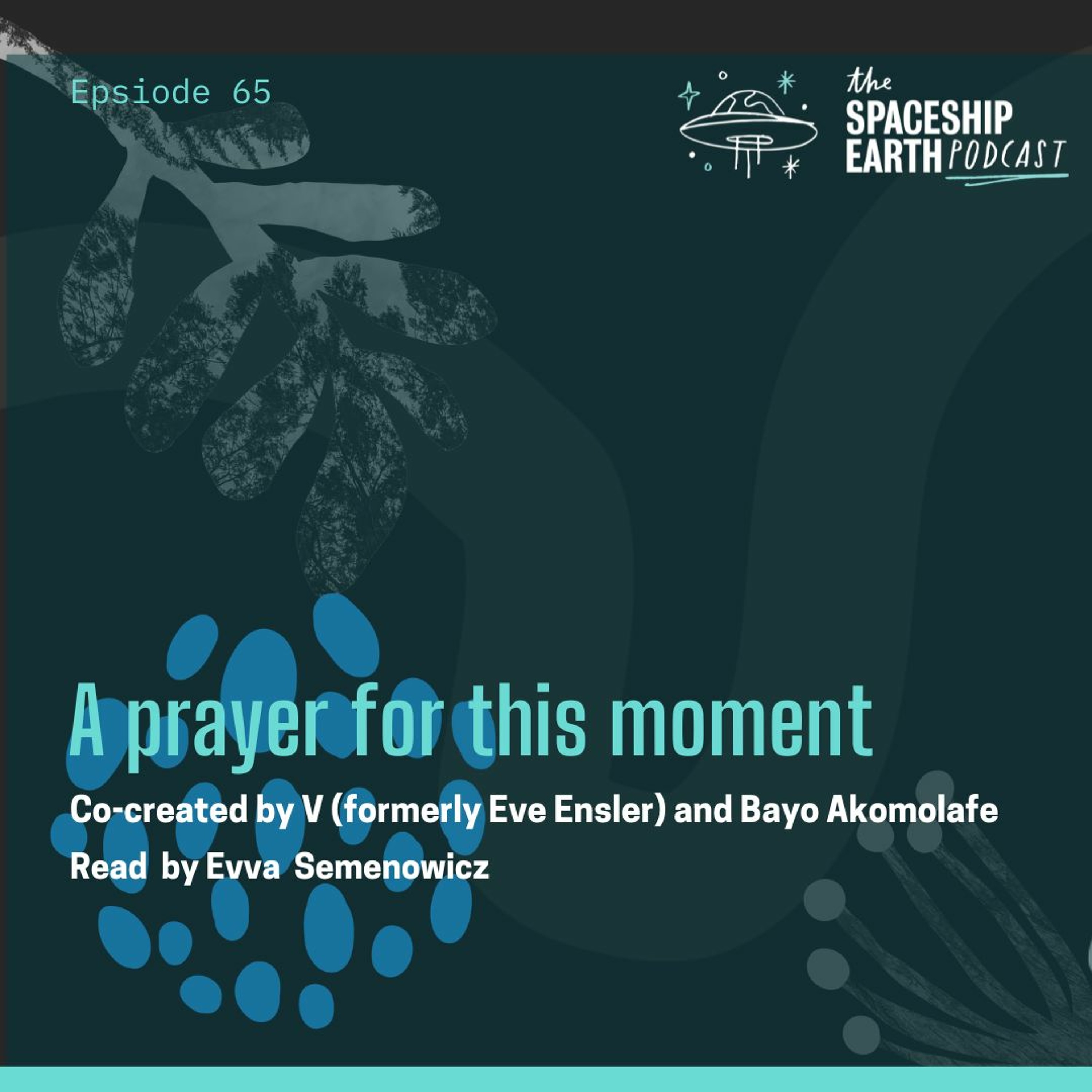 THE SPACESHIP EARTH PODCAST