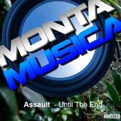 Assault - Until The End