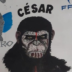 MC Mazinho - Império do César 🦍 [DJ TODDY] EXCLUSIVA 2K23 TCP