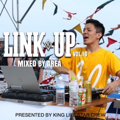 LINK UP VOL.16 MIXED BY AREA