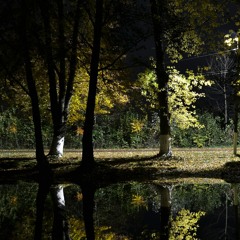 Soulful jazzy jungle dnb mix 5 (Autumn Leaves C) 166 BPM