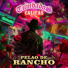 Pelao de Rancho