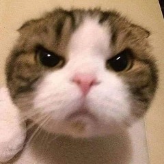 『猘ッッッ狗ッッッ』prod. plucksunset