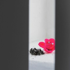 2021 Podium - Vi Sees