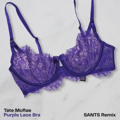 Tate McRae - Purple Lace Bra (SANTS Remix) [FREE DL]