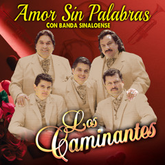 Amor Sin Palabras