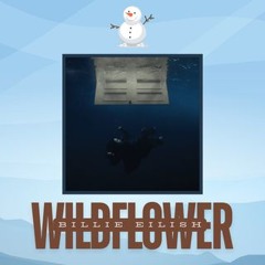 Wildflower By Billie Eilish (Yelooo Cover)