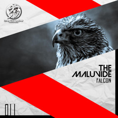 PREMIERE: [CSR011] The Maluvide - Falcon (Original Mix)