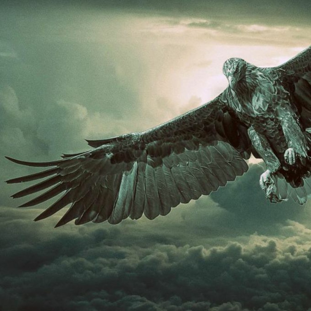 Stream 空の王者/The Emperor Of Sky(Delta Xpand2) by Kurenai Kirio | Listen ...