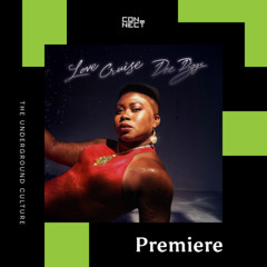 PREMIERE: Dee Diggs  - Love Cruise [toucan sounds]