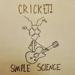 Simple Science - Cricket!