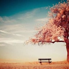Without You