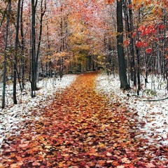 Exit Snippet (SLOWED)