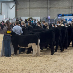 FarmFair International a Family Affair