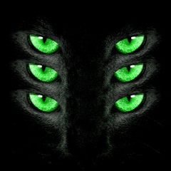 Una Gata X La Gasolina - Daddy Yankee, Six Sex - DON AMOR MASHUP | FREE DOWNLOAD