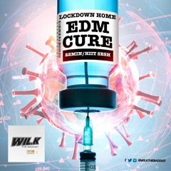 Lockdown Home EDM Cure - 22min Baddist HIIT Mixtape