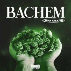 Ung Cezar - Bachem