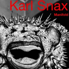 Manifold