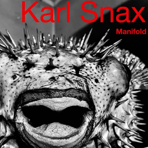 Manifold
