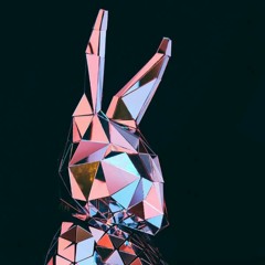 bunny island