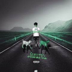 Misunderstood (feat slayrzx)