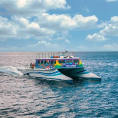 Review Special Price Full Day Vieques Beach Tour By Catamaran From Fajardo
