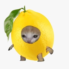 Lemons (prod. ognickkk & flowrency)