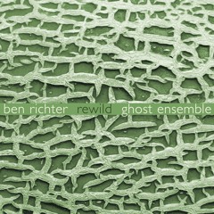 Ben Richter - Rewild