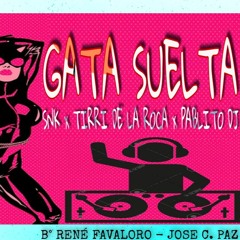 Gata Suelta (RKT) - SNK Y TIRRI DE LA ROCA FT PABLITO DJ2