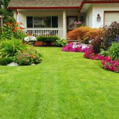 Why Professional Landscaping Services Matter for Your Property?