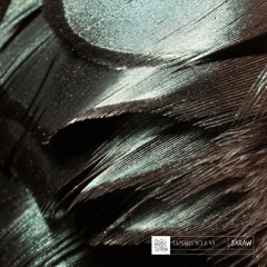 PREMIERE | Root - Vega [SRW061]