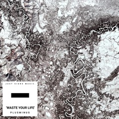 PlusMinus - Waste Your Life