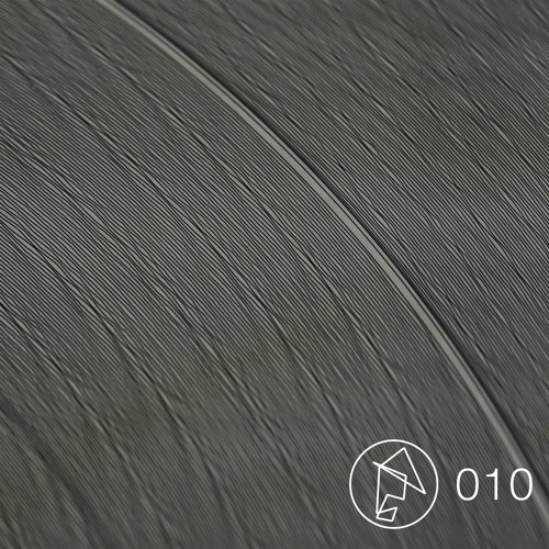 Embodiment 010 - Temudo