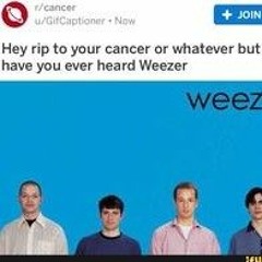 Van Weezer (Probably)