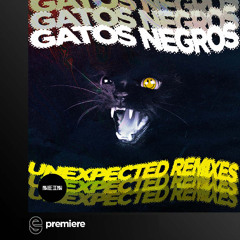 Premiere: Gatos Negros - Ceremony (Thaddeus X Remix) - Nein Records
