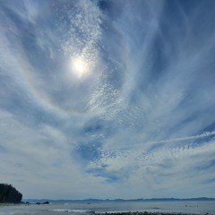 Winter & Spring love 2025  "How Deep Is Your Love"