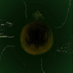 Calamitous Elytron - 1 - Carapae Of Celestial Stature