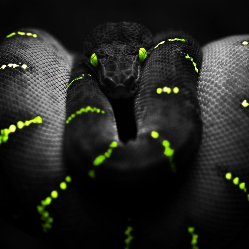 Phyton