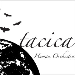 Stream Tacica | Listen to panta rhei playlist online for free on