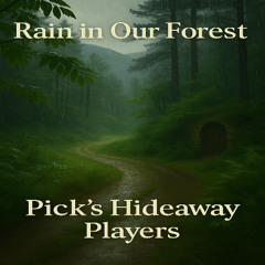 Rain in Our Forest