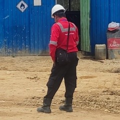 Palak Awak