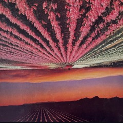 aint roll we line the rocks 🪨🌱