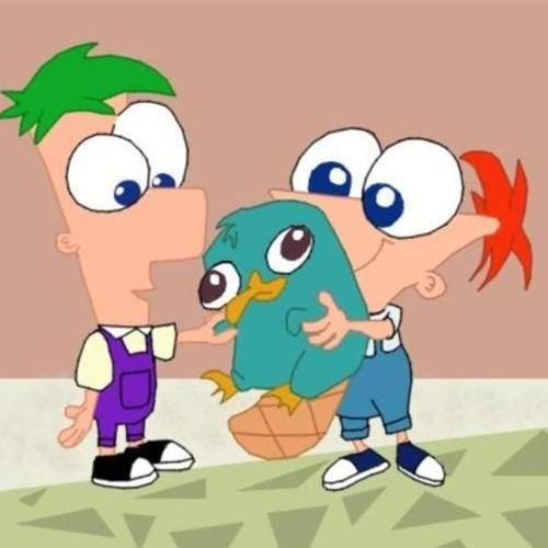 perry das schnabeltier freestyle