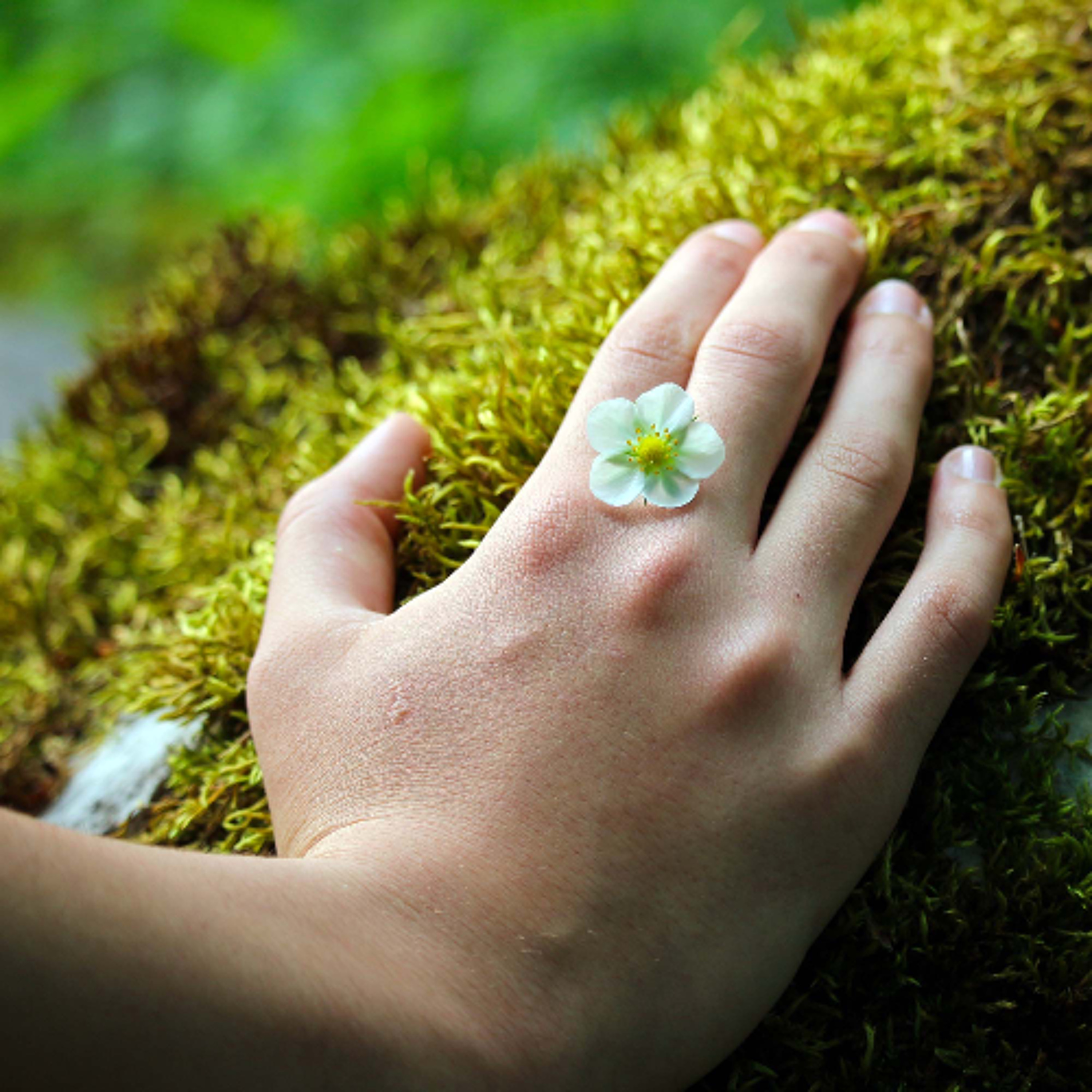 Associazione Kalyanamitta: Meditazione, Mindfulness, Buddhismo