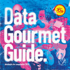 [DEMO] V.A. - "Data Gourmet Guide" - M3秋2025【M-17b】