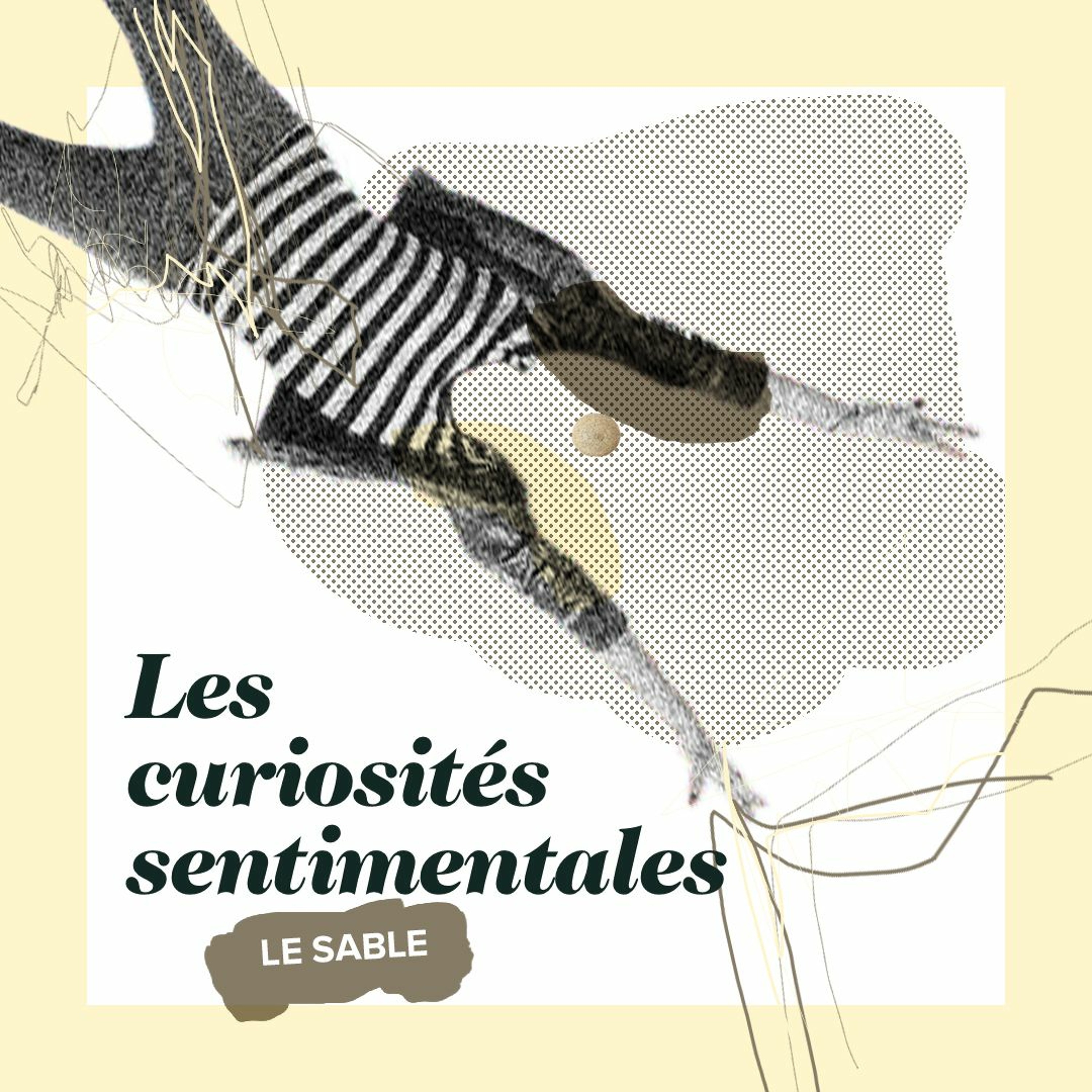 Les Curiosites Sentimentales